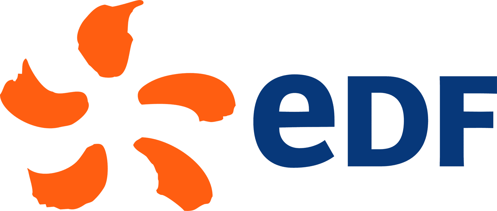 EDF logo